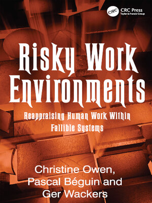 cover image of Risky Work Environments